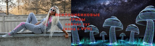 тгк Алзамай