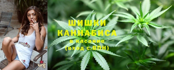 тгк Алзамай