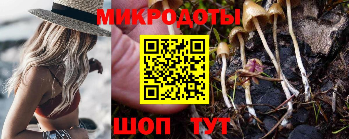 Шуя  Псилоцибиновые грибы GOLDEN TEACHER  Вход с VPN 